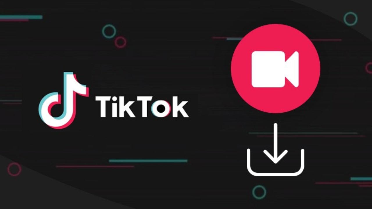 How to Download TikTok Videos Without Watermark on GetVid